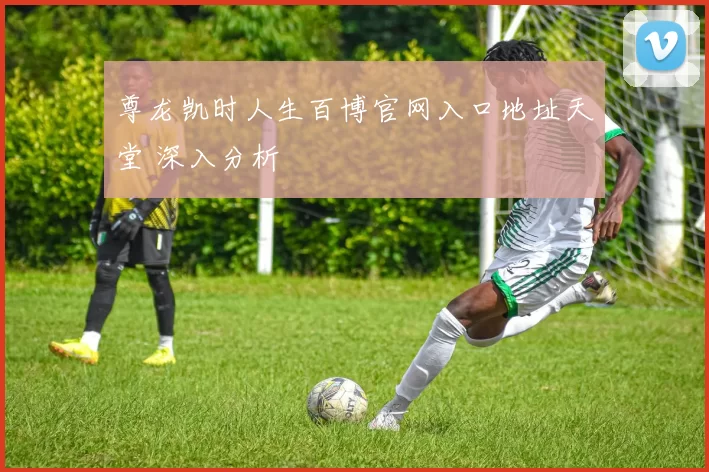 尊龙凯时人生百博官网入口地址天堂 深入分析