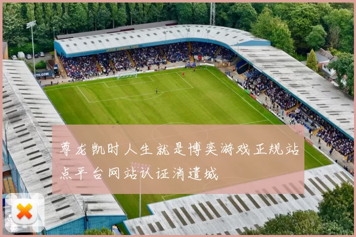 尊龙凯时人生就是博奕游戏正规站点平台网站认证消遣城