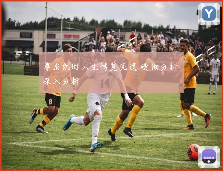 尊龙凯时人生博览无遗 透彻分析 深入分析