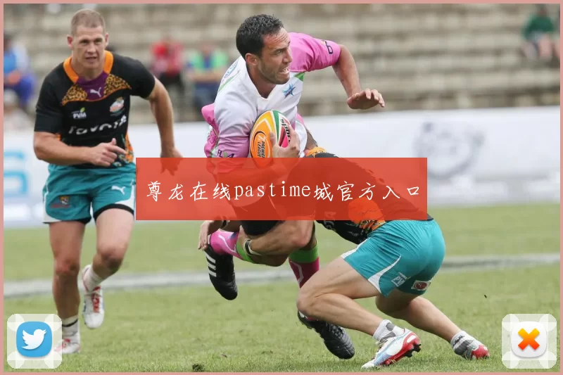 尊龙在线pastime城官方入口