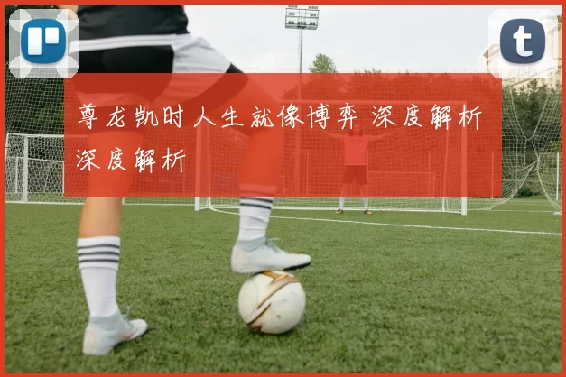 尊龙凯时人生就像博弈 深度解析 深度解析