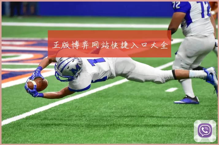 正版博弈网站快捷入口大全