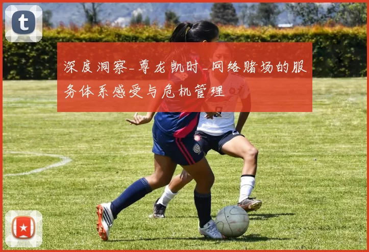 深度洞察_尊龙凯时_网络赌场的服务体系感受与危机管理