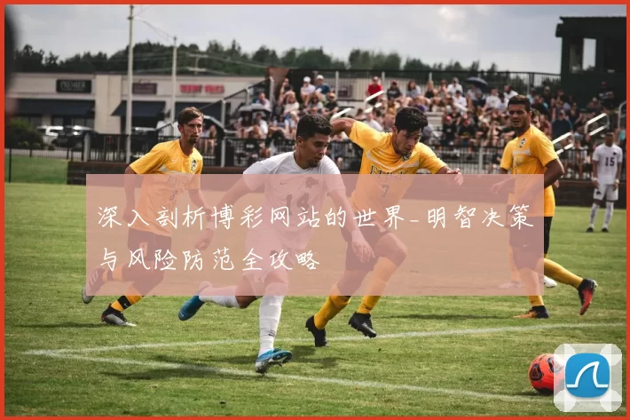 深入剖析博彩网站的世界_明智决策与风险防范全攻略