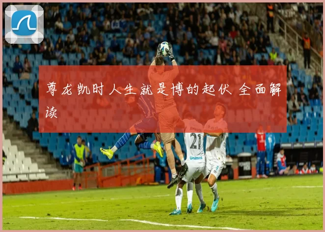 尊龙凯时人生就是博的起伏 全面解读