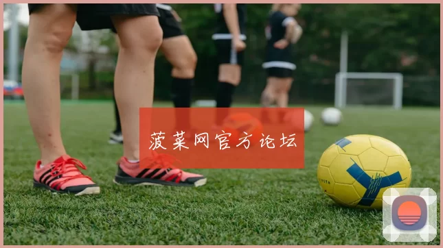 菠菜网官方论坛