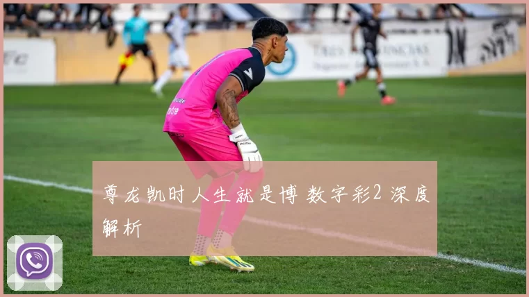 尊龙凯时人生就是博 数字彩2 深度解析