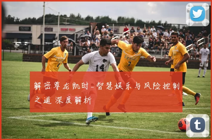 解密尊龙凯时_智慧娱乐与风险控制之道 深度解析