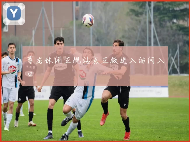 尊龙休闲正规站点正版进入访问入口