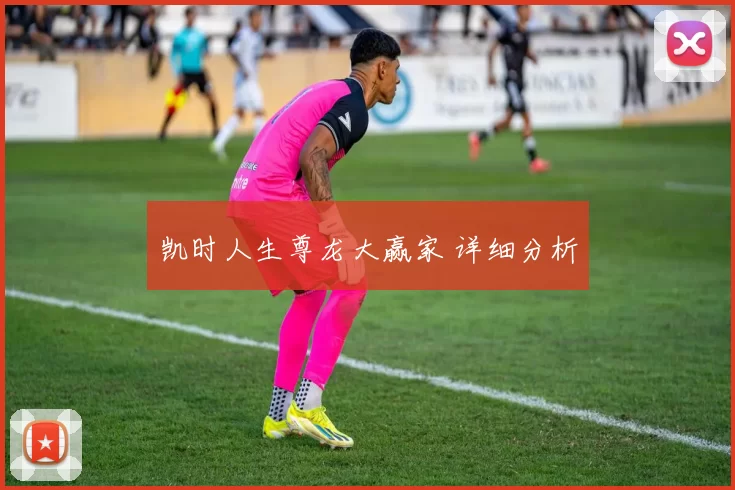 凯时人生尊龙大赢家 详细分析