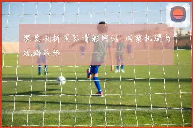 深度剖析国际博彩网站_洞察机遇与规避风险