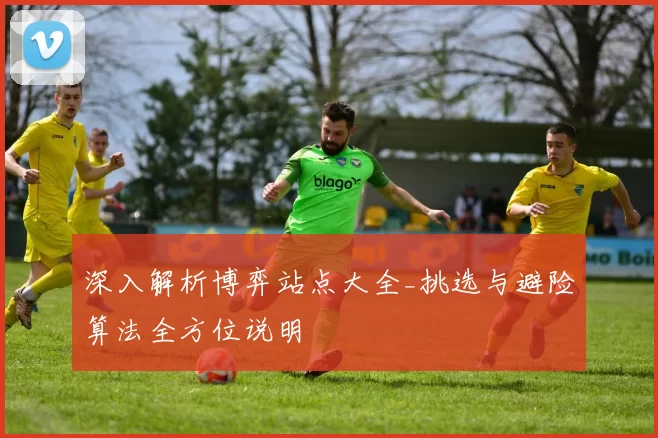 深入解析博弈站点大全_挑选与避险算法全方位说明