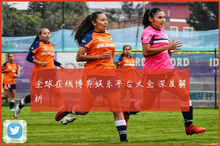 全球在线博弈娱乐平台大全 深度解析