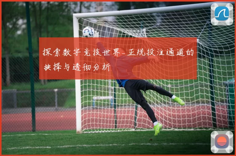 探索数字竞技世界_正规投注通道的抉择与透彻分析