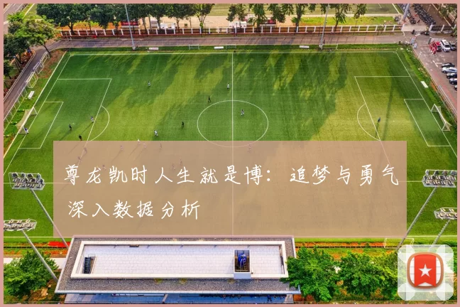 尊龙凯时人生就是博：追梦与勇气 深入数据分析