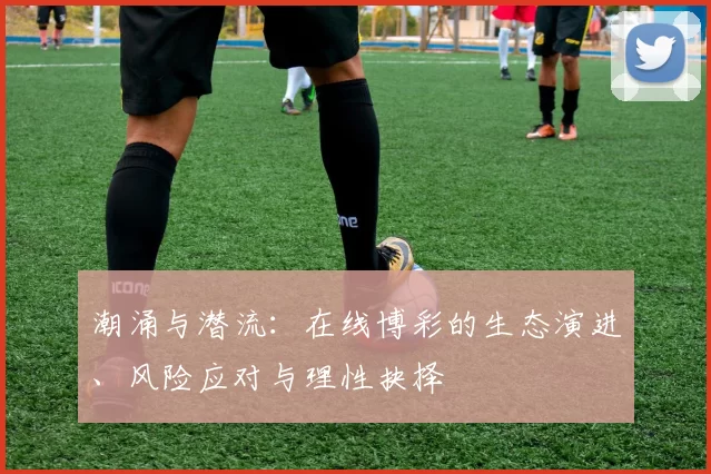 潮涌与潜流：在线博彩的生态演进、风险应对与理性抉择