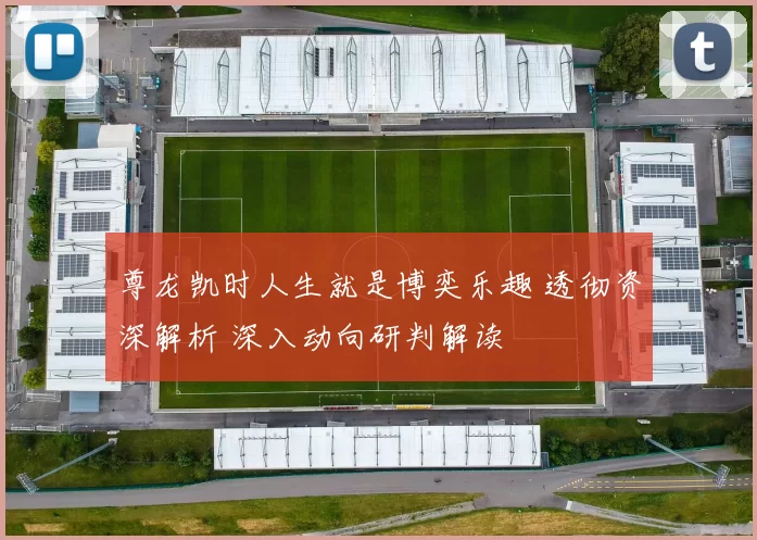 尊龙凯时人生就是博奕乐趣 透彻资深解析 深入动向研判解读