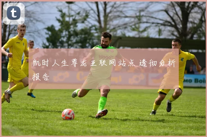 凯时人生尊龙互联网站点 透彻分析报告
