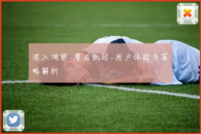 深入洞察_尊龙凯时_用户体验与策略解析