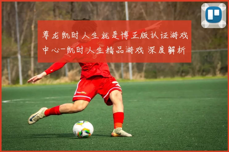尊龙凯时人生就是博正版认证游戏中心-凯时人生精品游戏 深度解析
