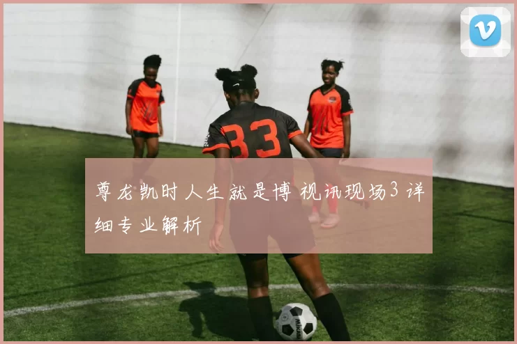 尊龙凯时人生就是博 视讯现场3 详细专业解析