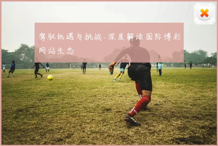 驾驭机遇与挑战_深度解读国际博彩网站生态