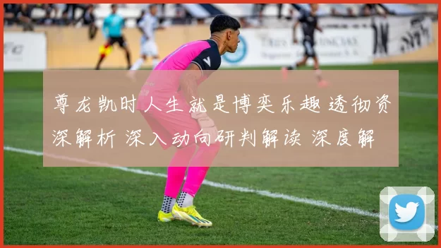 尊龙凯时人生就是博奕乐趣 透彻资深解析 深入动向研判解读 深度解析