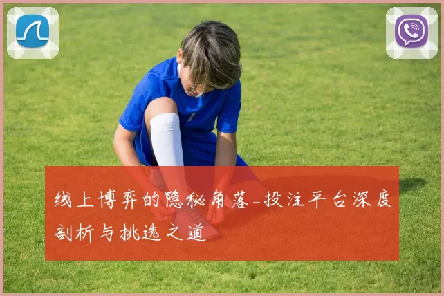 线上博弈的隐秘角落_投注平台深度剖析与挑选之道