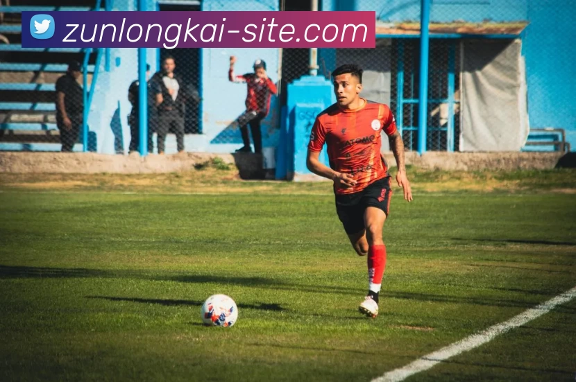 尊龙凯时人生就是搏平台生态图